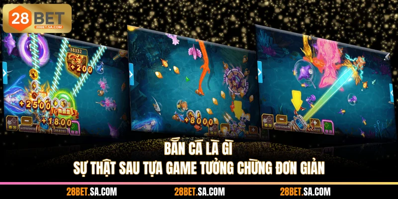 Bắn Cá Là Gì? - Sự Thật Sau Tựa Game Tưởng Chừng Đơn Giản