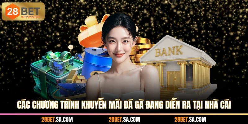 Các chương trình khuyến mãi đá gà đang diễn ra tại nhà cái