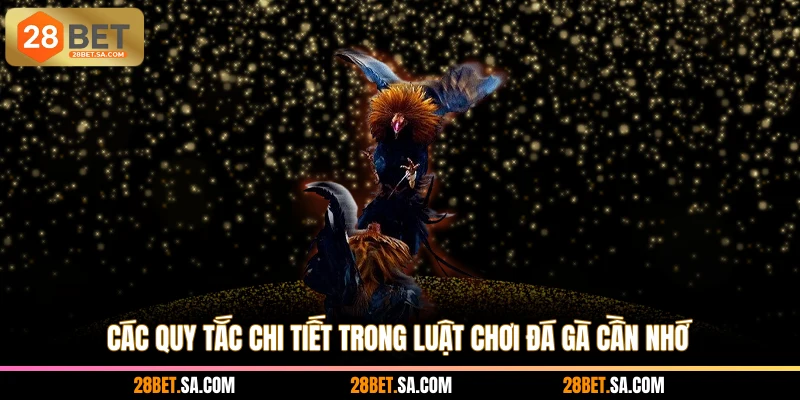 Các quy tắc chi tiết trong luật chơi đá gà cần nhớ