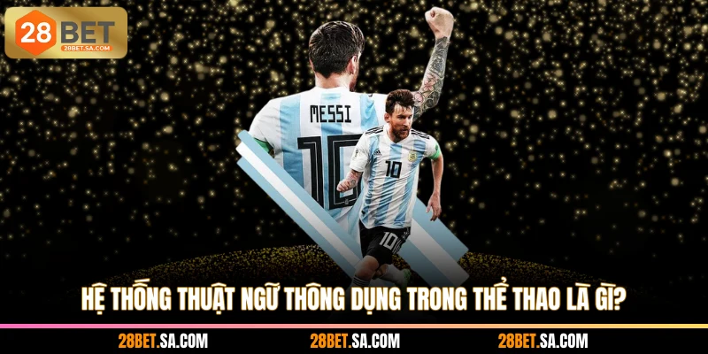 Hệ thống thuật ngữ thông dụng trong thể thao là gì?