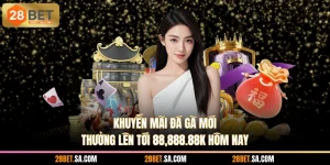 Khuyến Mãi Đá Gà Mới - Thưởng Lên Tới 88,888.88K Hôm Nay