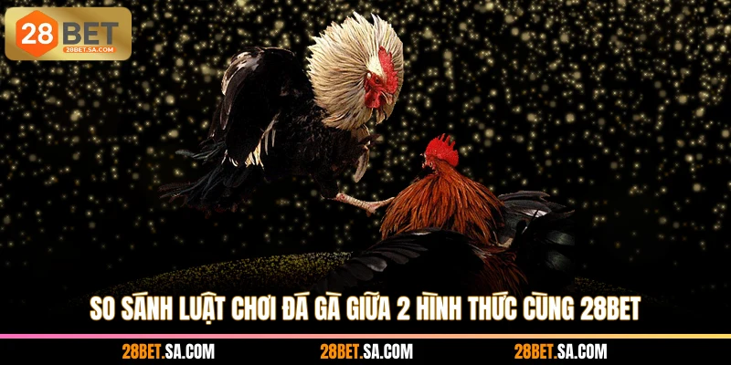So sánh luật chơi đá gà giữa 2 hình thức cùng 28BET