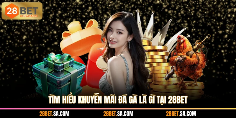 Tìm hiểu khuyến mãi đá gà là gì tại 28BET